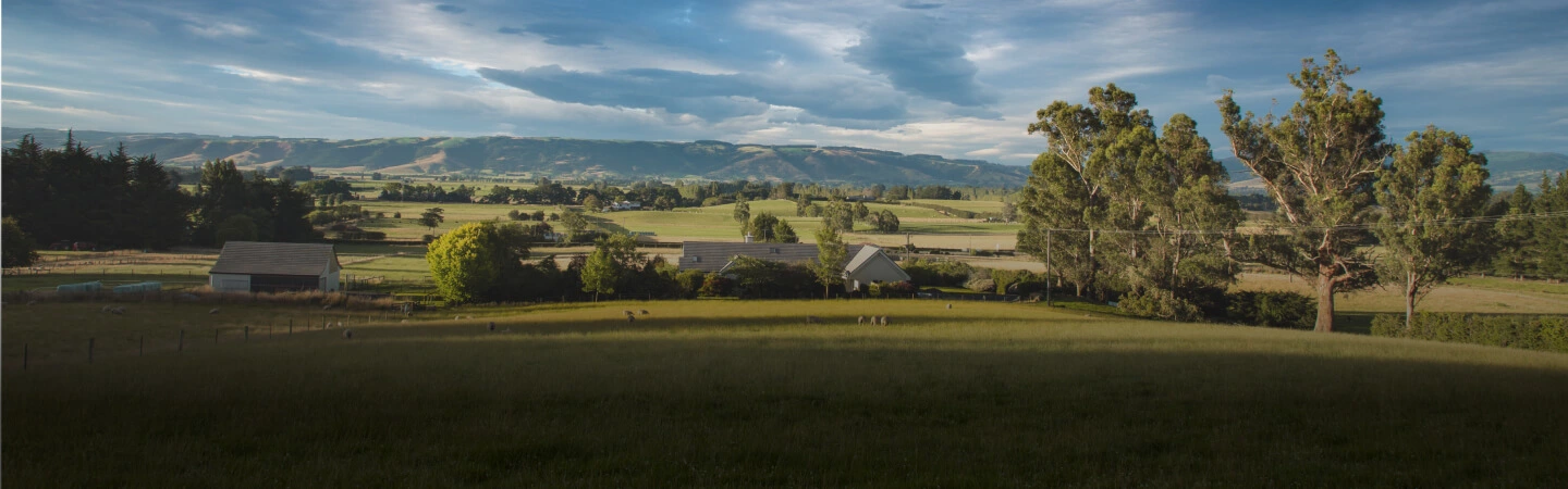 rural